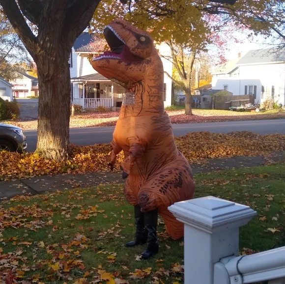 Shoedazzle Ynez black faux leather pointed toe wedge boots - Picture 16 of 16